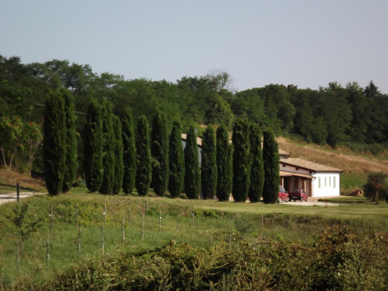 Casale Arcadia Hotel Orvieto Eksteriør billede